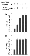 Fig. 9