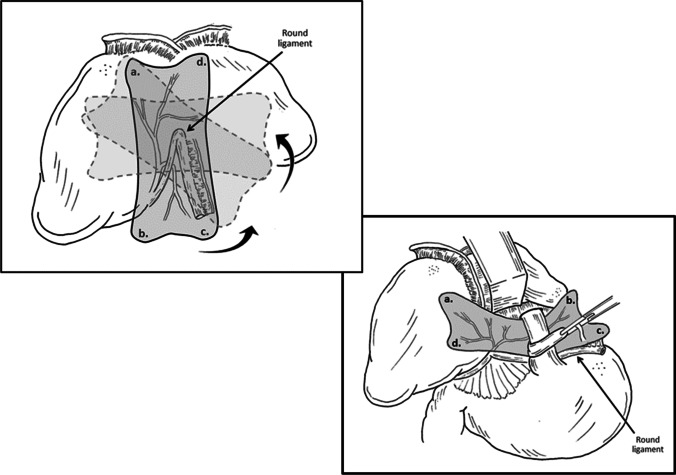 Fig. 5