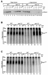 FIG. 5.