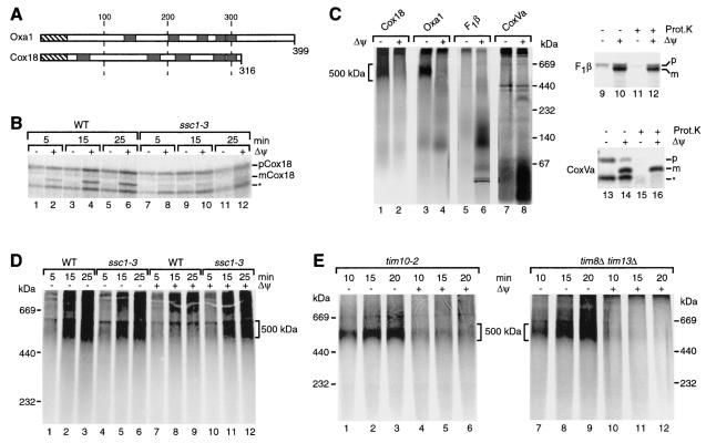 FIG. 6.