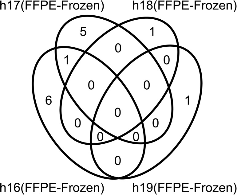 Fig 7