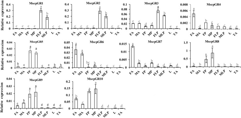 Fig. 9