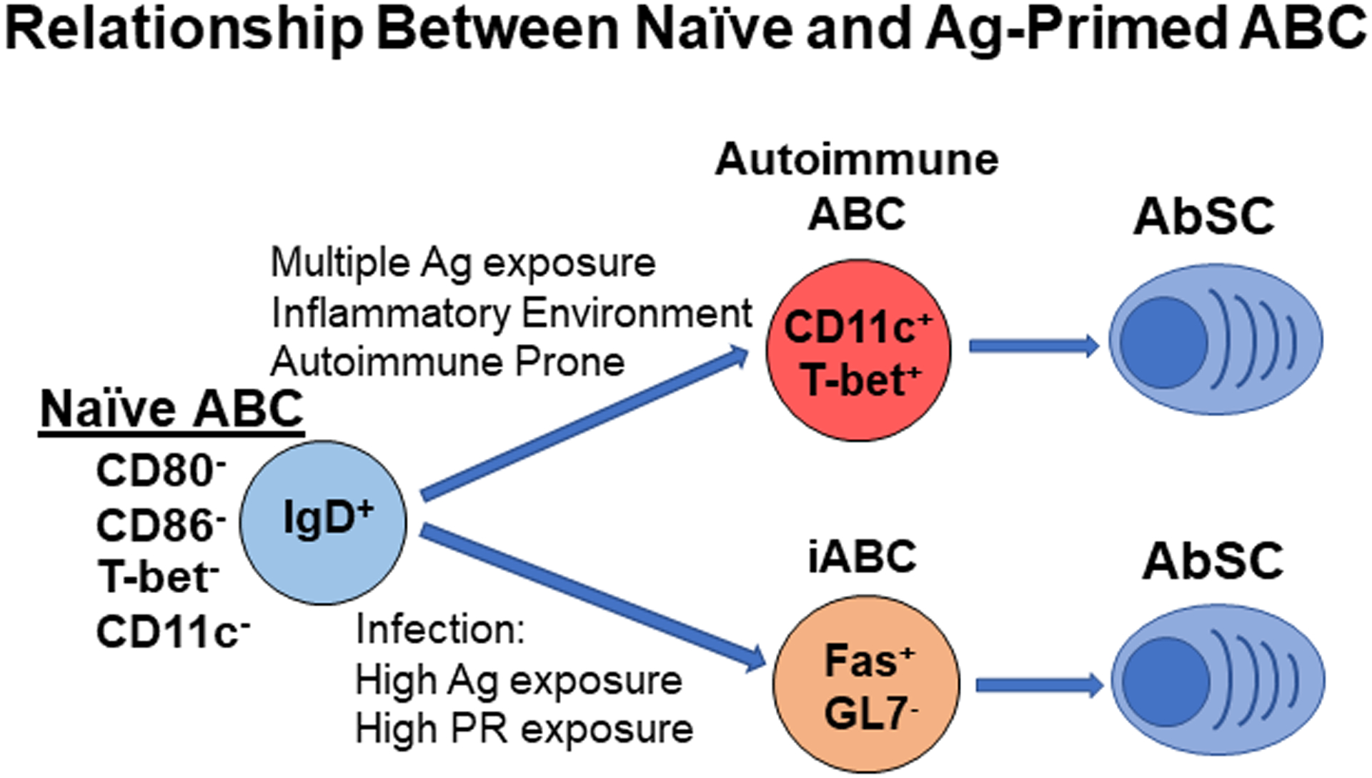 Figure 3: