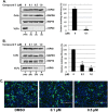 FIG 6