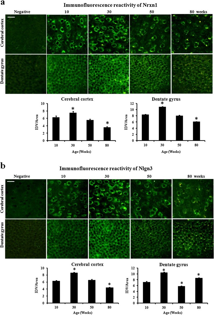 graphic file with name 11357_2015_9752_Fig3_HTML.jpg