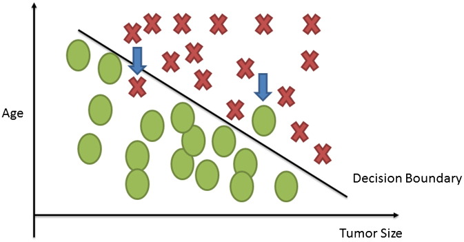 Fig. 5