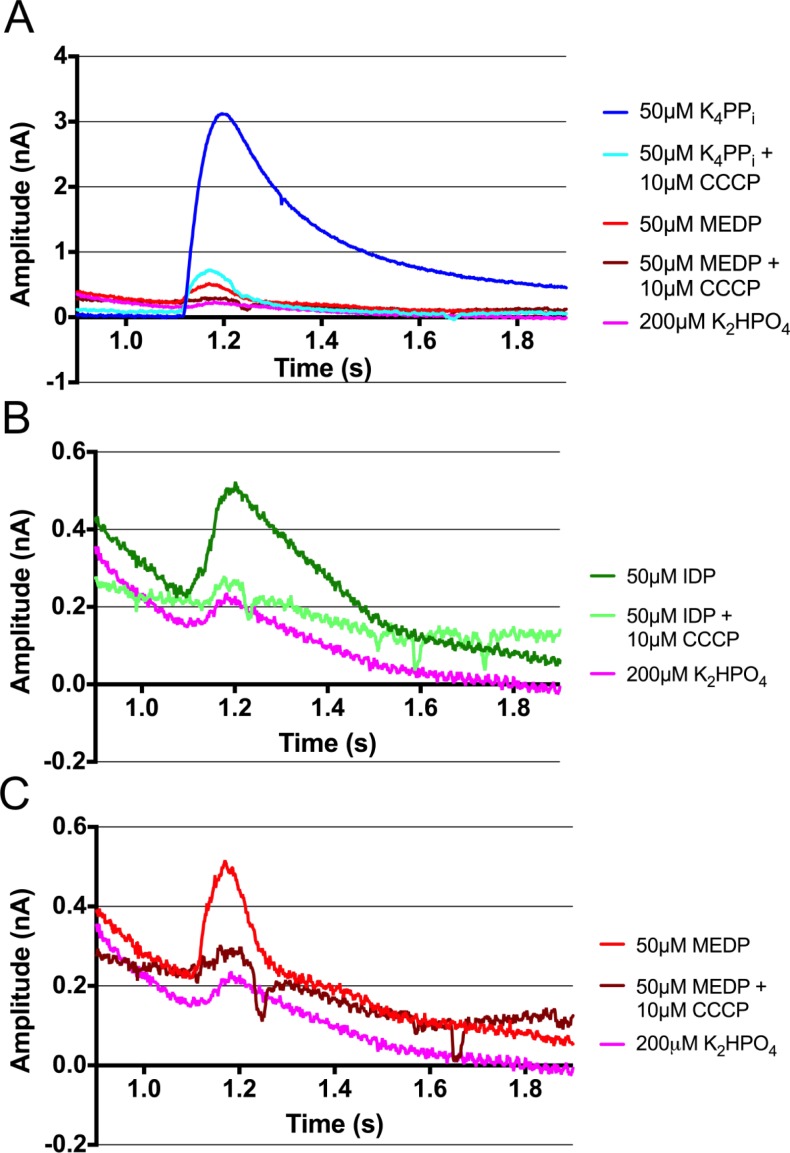 FIG. 7.