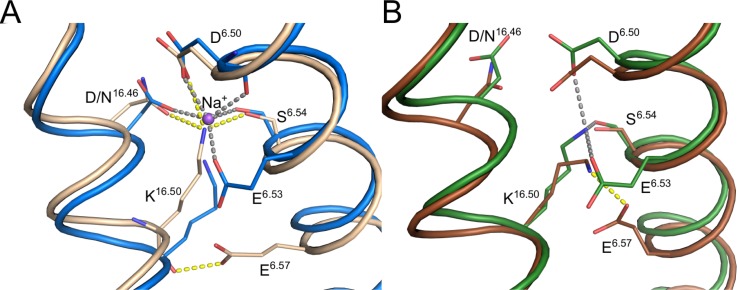 FIG. 6.