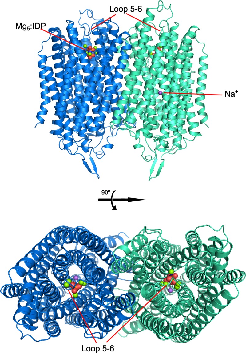 FIG. 1.