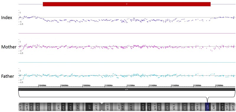 FIGURE 3