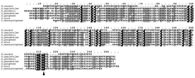 FIG. 1.