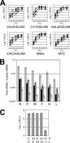 FIG. 2.