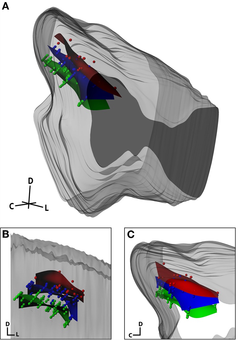 Figure 12