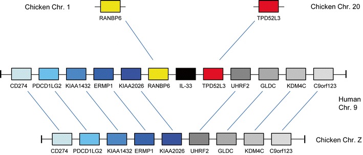 Fig. 4