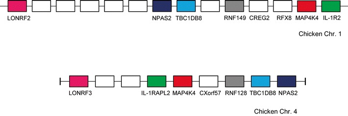 Fig. 6