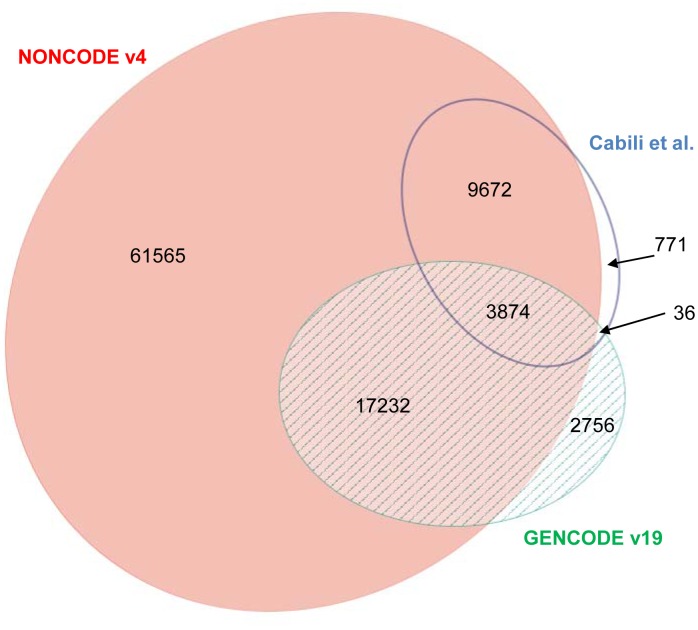 Fig 7