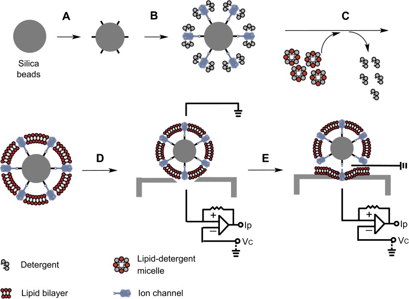 Figure 1.