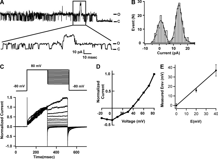 Figure 7.