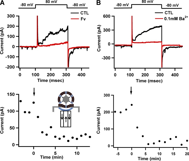 Figure 6.