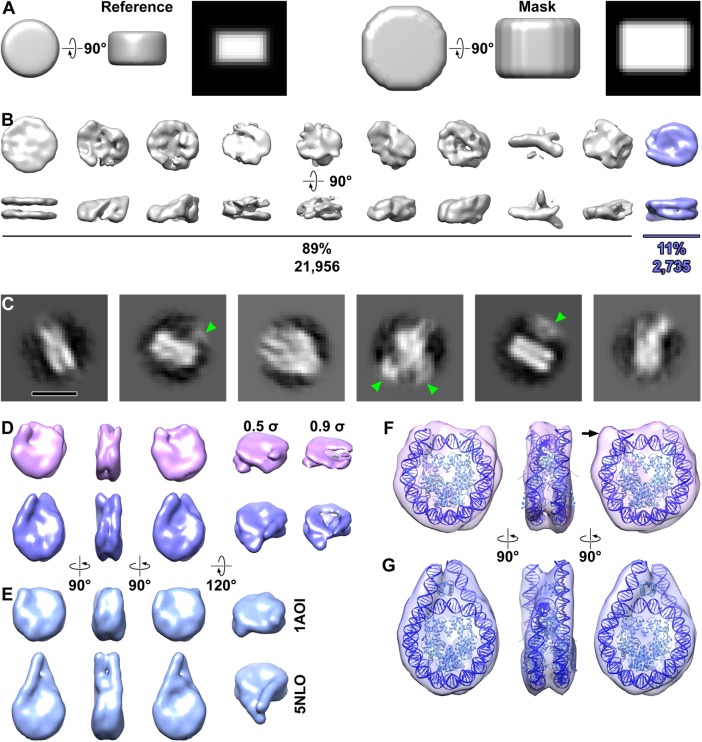 FIGURE 2: