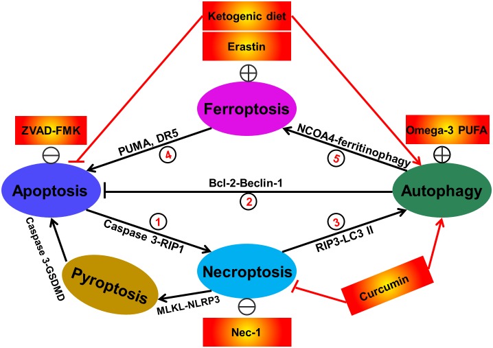 FIGURE 3