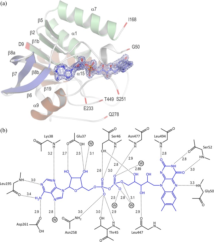 FIGURE 3.