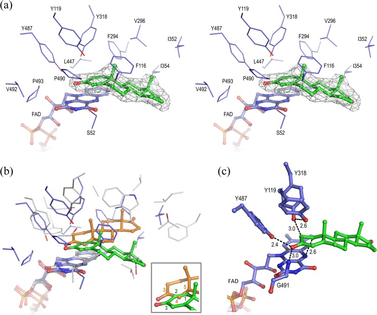 FIGURE 4.