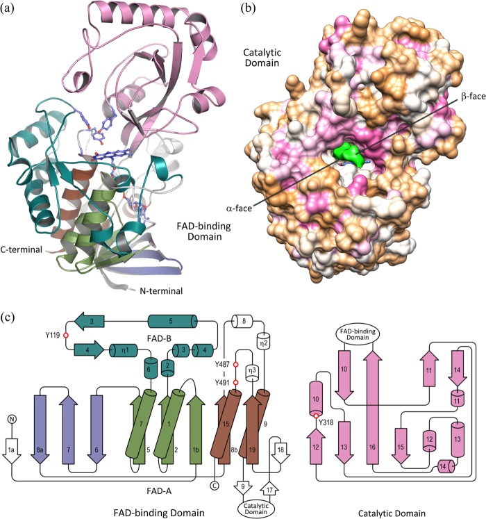 FIGURE 2.