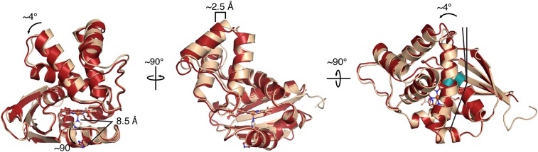 Fig. 5.