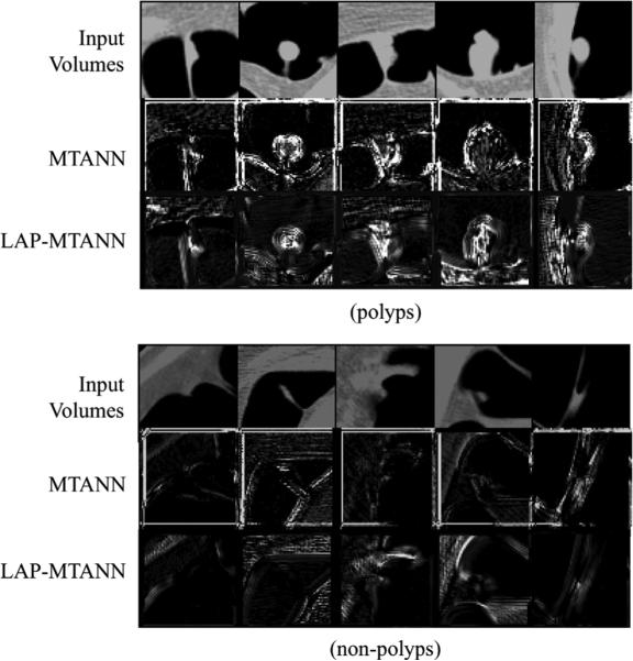 Fig. 8