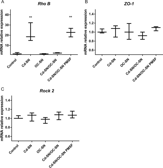 FIG 2