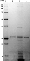 FIG 5