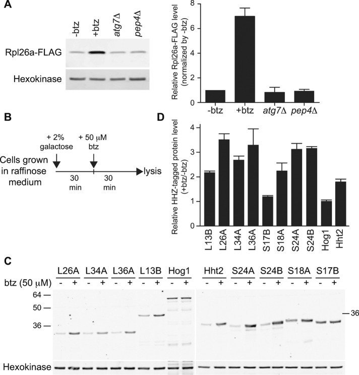 FIGURE 3: