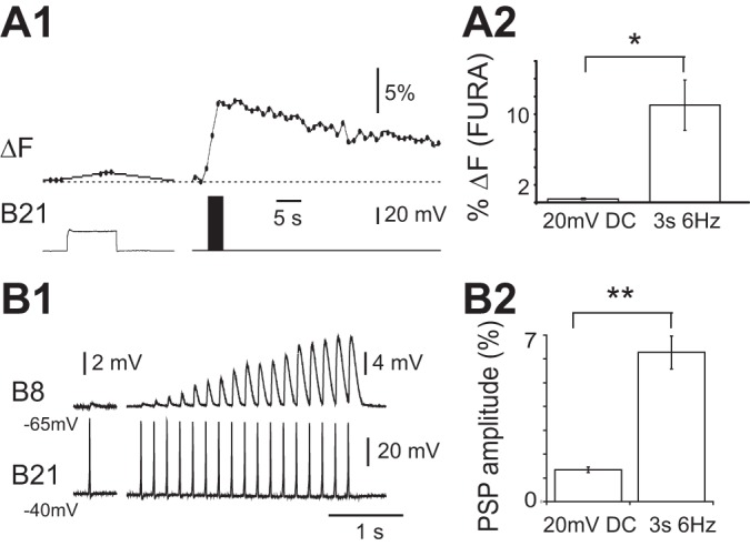 Fig. 3.