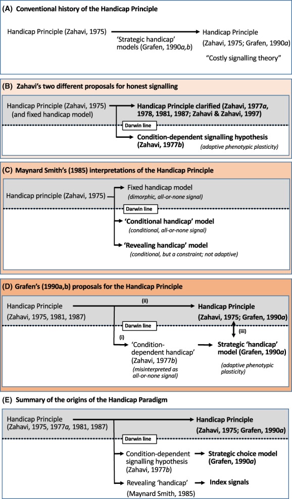 BRV-12563-FIG-0003-c