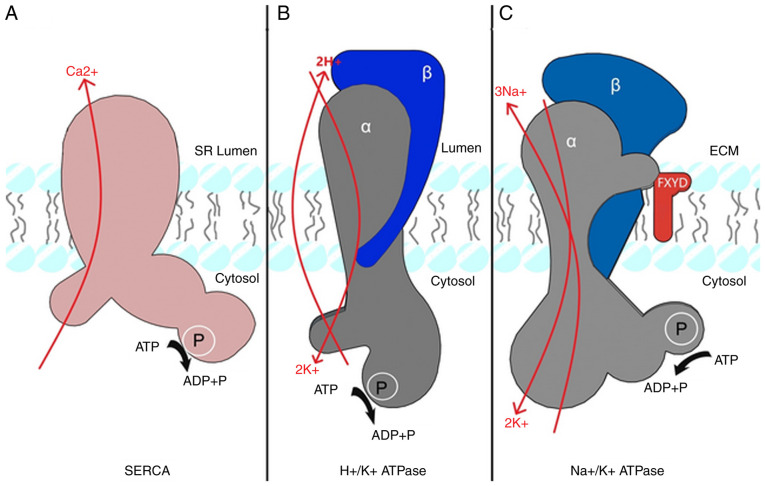 Figure 1.