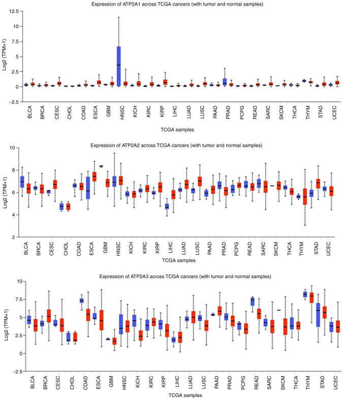 Figure 4.