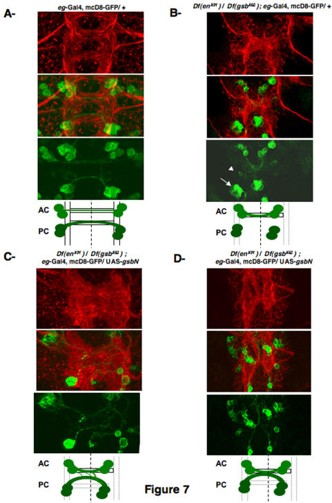 Figure 7