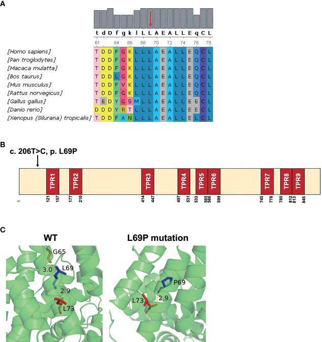 Figure 2