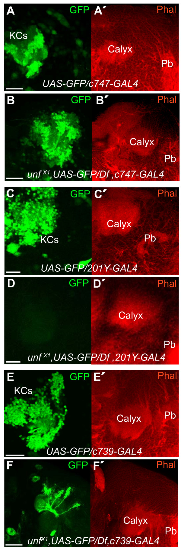 Figure 5