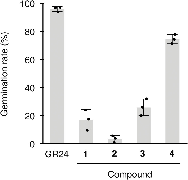 Fig. 2. Germination stimuratory activity of butenolides on O. minor seeds. Each butenolide was applied at 10−5 M, and germination rates were calculated 7 days after treatment. rac-GR24 at 1 ppm was applied as a positive control. Data are presented as means of three replicates. Error bars indicate standard deviations.