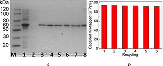 Fig. 12