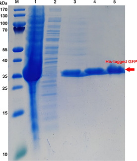 Fig. 10