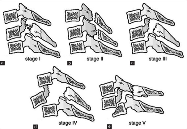 Figure 19