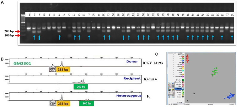 FIGURE 3