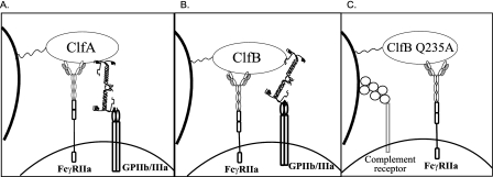 FIG. 10.