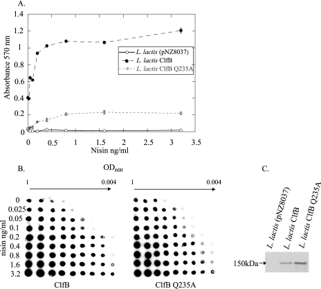 FIG. 6.