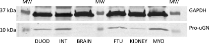 Fig. 5.