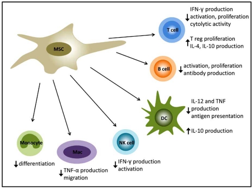 Fig. (3)