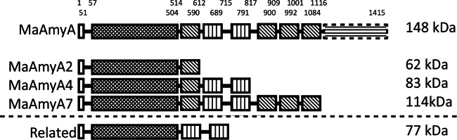 FIG 1